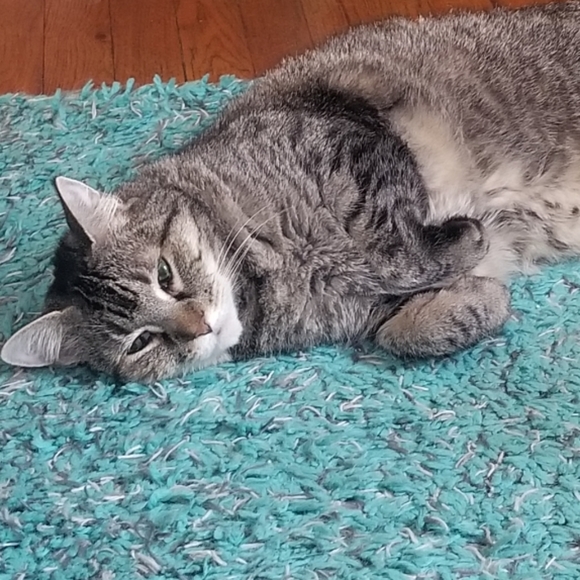 Meet Your Poshers, Gina and Keke! - Picture 4 of 11